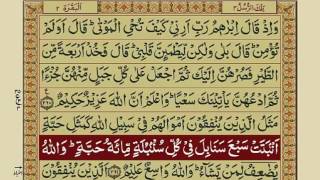 Quran Para 3 with Urdu Translation  Recitation  Mishary Rashid Alafasy [upl. by Aeret267]