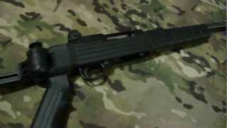 RamLine Folding Stock Review [upl. by Ellehsad]