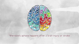 What Is Wernickes Aphasia [upl. by Packer872]