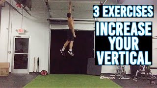 3 LEG EXERCISES TO INCREASE YOUR VERTICAL [upl. by Ahmar]