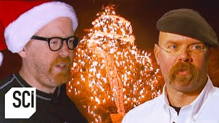 Can Christmas Tree Lights Spark a Fire  MythBusters [upl. by Nnylarac]