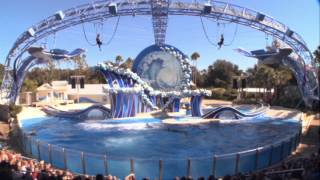 Blue Horizons  The Dolphins Show at Sea World Complete [upl. by Voe]