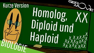 ► Homolog Diploid und Haploid  verständlich erklärt  Kurze Version [upl. by Selmore]