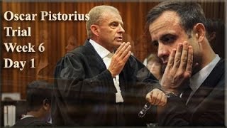 Oscar Pistorius Trial Monday 14 April 2014 Session 1 [upl. by Dedra]