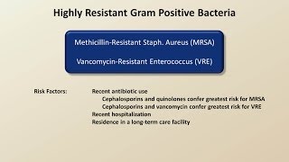 Antibiotics for Gram Positive Infections Antibiotics  Lecture 4 [upl. by Jesus]