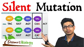 Silent mutation [upl. by Atalya]