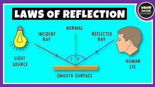 Laws of Reflection of Light Physics [upl. by Yokoyama]