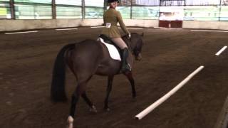 Introductory A 2008 Dressage Test at Oswestry Equestrian Centre [upl. by Dedra]