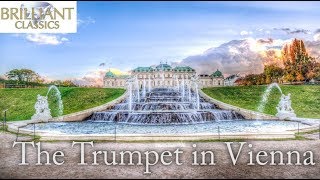 The Trumpet in Vienna [upl. by Elwee]