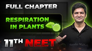 Respiration in Plants FULL CHAPTER  Class 11th Botany  Arjuna NEET [upl. by Jakob]