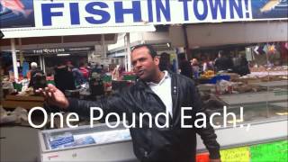 One 1 Pound Fish Song Video With Lyrics [upl. by Haidedej]