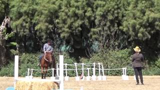 Working Equitation Novice Ease Of Handling Test [upl. by Camilo]