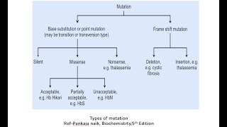 Types of Mutations Point Mutations and Frameshift Mutations  Mutations In Genetics [upl. by Lincoln]