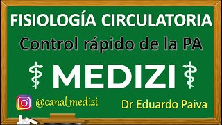 Clase 28 Fisiología Circulatoria  Regulación nerviosa y control rápido de la PA IGdoctorpaiva [upl. by Ardet]