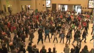 FLASHMOB  central station in BRUSSELS Belgium [upl. by Darooge445]