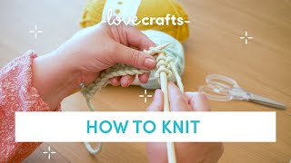 How to Knit  for absolute BEGINNERS [upl. by Thorvald789]