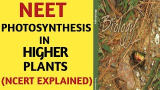 PhotosynthesisClass 11NCERTQuick Revision SeriesNEETAIIMSJipmer2019By Beats For Biology [upl. by Lada]