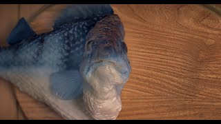 McDonalds FiletOFish Commercial 8K 60FPS [upl. by Marabelle]