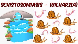 Schistosomiasis – Bilharzia [upl. by Ylatan472]