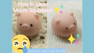 How to Clean Mochi Squishy Toys  Autistic Survival Guide [upl. by Eadas]