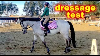 Beginner NOVICE DRESSAGE Test A  USEF Eventing learn more Video [upl. by Nahtanhoj244]