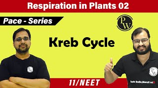 Respiration in plants 02  Kreb Cycle  Class 11  NEET  Pace Series [upl. by Enrique773]