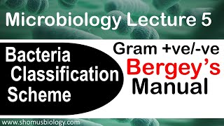 Microbiology lecture 5 Gram positive vs Gram negative Bergey’s manual [upl. by Nahshu]