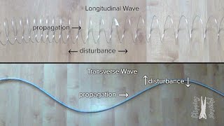 Introduction to Waves [upl. by Evadne]