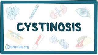 Cystinosis  causes symptoms diagnosis treatment pathology [upl. by Past212]