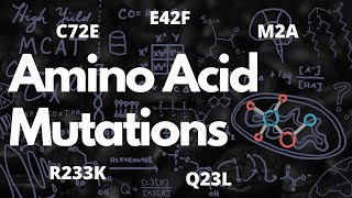 Conservative and Nonconservative Mutations  Amino Acid Mutation Notation  MCAT [upl. by Lilac]