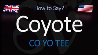 How to Pronounce Coyote  English American Pronunciation [upl. by Elleval]