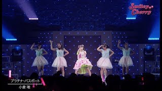 小倉 唯「プラチナ・パスポート」LIVE「Smiley Cherry」ver [upl. by Malo]