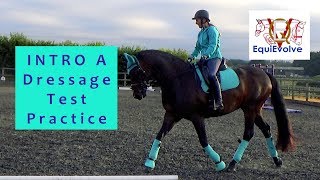 Intro 1 Dressage Test Learning Tool 2008 Formally Intro A [upl. by Marabel74]