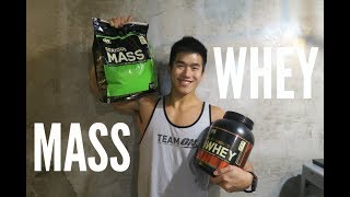 WHEY PROTEIN or MASS GAINER Tips for Beginner [upl. by Emee]