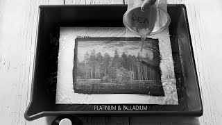 How I make Platinum Palladium Photo Prints [upl. by Gensler]