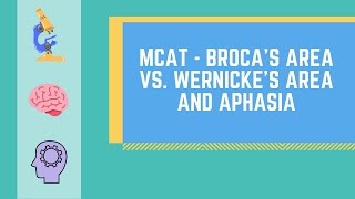 Brocas Area vs Wernickes Area and Aphasia MADE EASY  MCAT [upl. by Willy176]