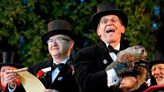 Groundhog Day explained  in 60 seconds [upl. by Ardle770]