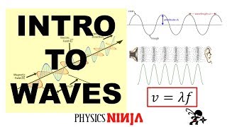 Introduction to Waves [upl. by Kuhn464]