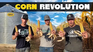 CORN REVOLUTION Official Music Video [upl. by Atokad]