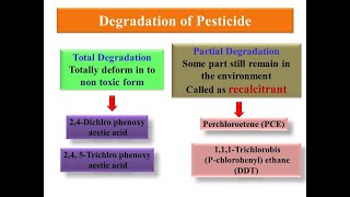 Principle of Biodegradation of PesticideXenobiotics [upl. by Yseulta862]