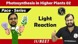 Photosynthesis in Higher Plants 02  Light Reaction I Class 11 l Pace Series [upl. by Brittan]