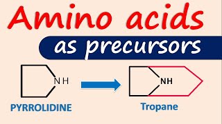 Amino acids as precursors for alkaloids [upl. by Nevs819]