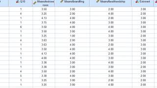 How to analyze a questionnaire of Likertscale Part 2 [upl. by Lat711]