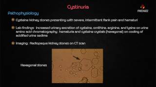 Cystinuria  Usmle step 1 Biochemstry webinar based lecture [upl. by Aerdnna]