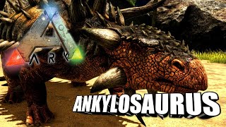 Taming A Ankylosaurus  Ark Survival Evolved  The Island [upl. by Hirz]