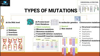 Mutations And Types Of Mutations [upl. by Heilman]