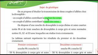 Bac Sciences  Sujet Corrigé de Génétique Humaine  Génétique des Diploïdes [upl. by Arrakat]