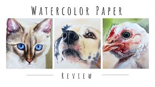 NEW Hahnemuhle Collection Watercolor Paper Full REVIEW [upl. by Swope933]