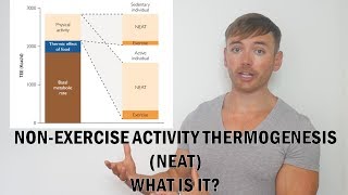 What Is NEAT NonExercise Activity Thermogenesis [upl. by Niaz]