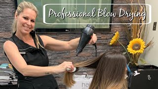 How To Professional Blow Dry With No Frizz  Salon Secrets and Techniques [upl. by Tannenbaum]